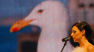 Festival zabavne glazbe Zadar 2010 (foto: Saša Čuka) Festival zabavne glazbe Zadar 2010 (foto: Saša Čuka)