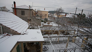 Snijeg u Bibinjama 3. veljače 2012, Foto: Leo Banić