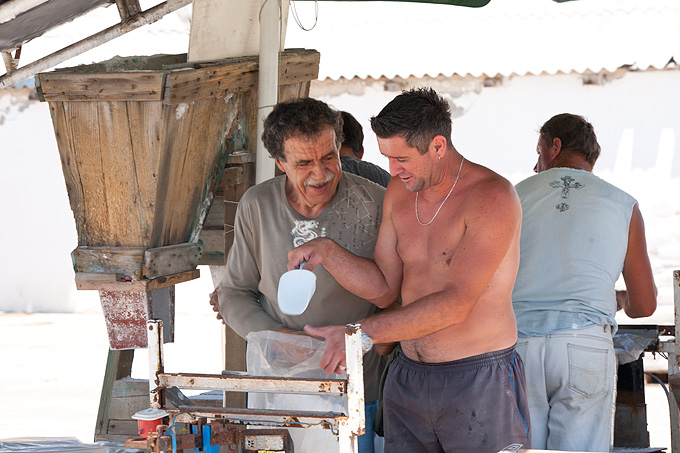 Solana Nin, berba soli, foto: Leo Banić