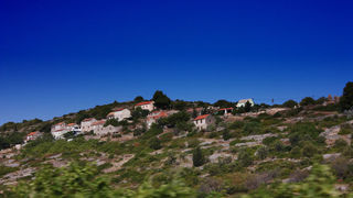 Image 1117693 (auto)