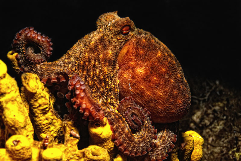 Foto: Ante Uglešić Foto: Ante Uglešić