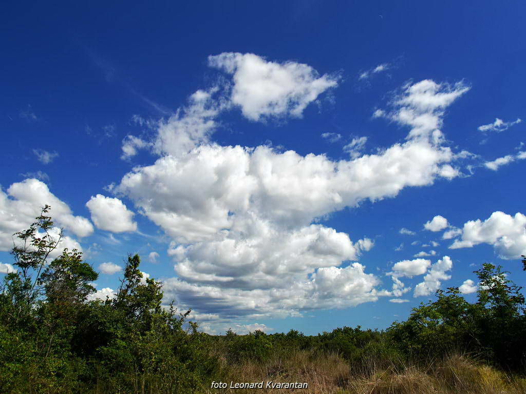 Sličice s Paga i Tulovih greda