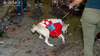 Zadar je gorio: Velika fešta nakon plasmana Vatrenih u polufinale Svjetskog prvenstva