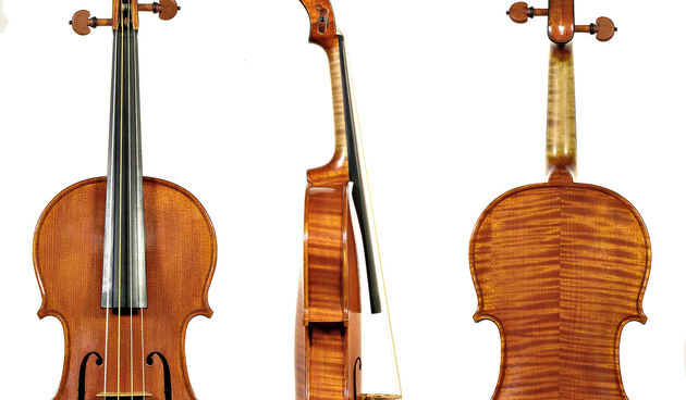 Violina