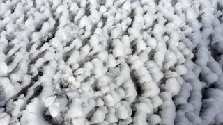 Zaleđeno more i čudesne ledene skulpture na senjskoj rivi