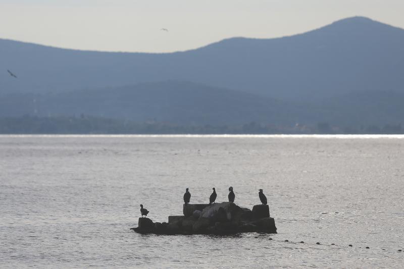 Predvečerje u Zadru 6. ožujka 2014.  Foto: Filip Brala/PIXSELL