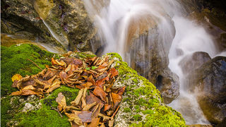 Jesen u kanjonu Velike Paklenice