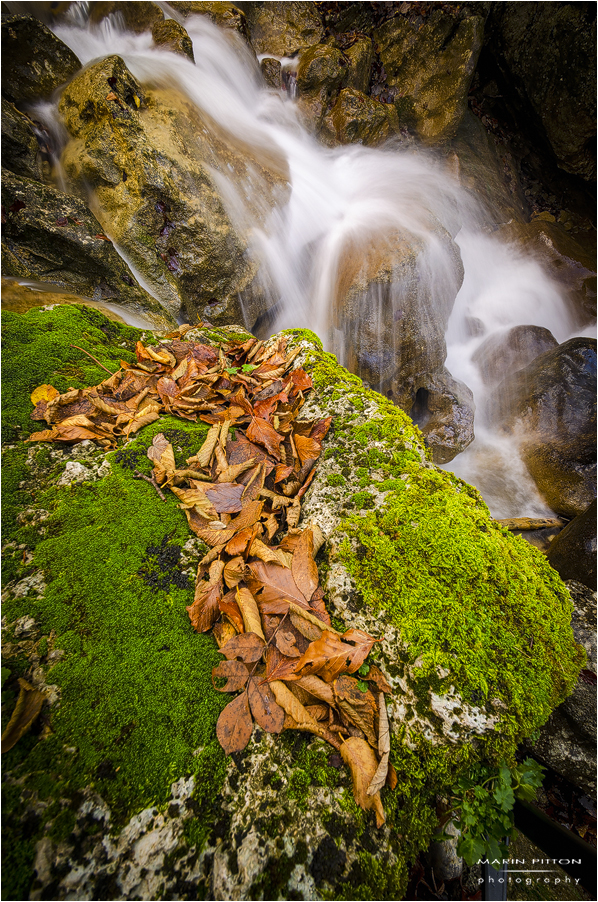 Jesen u kanjonu Velike Paklenice