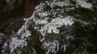 Prvi ovogodišnji snijeg zabjelio je Sljeme