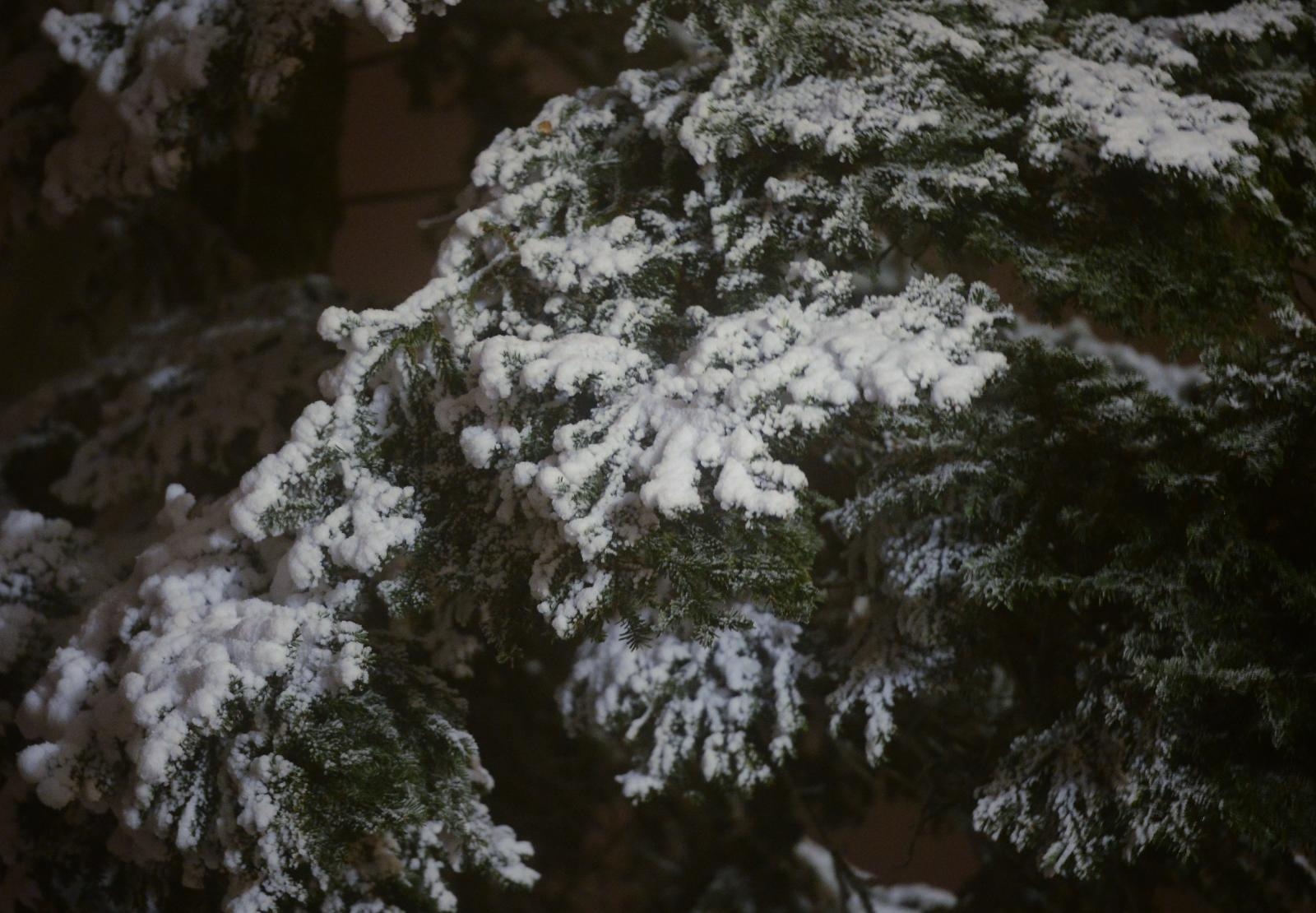 Prvi ovogodišnji snijeg zabjelio je Sljeme