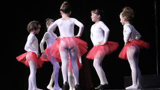 Image 1032931 (auto)