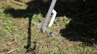 20.06.2013., Zadar – Akcija ciscenja narkomanskih sprica u parku na Brodarici pokraj Sfinge. Photo: Filip Brala/PIXSELL Autor Filip Brala/PIXSELL KLJUČNE RIJEČI ciscenje, sfinga, Brodarica, akcija mladih, narkomanija 20.06.2013., Zadar – Akcija ciscenja narkomanskih sprica u parku na Brodarici pokraj Sfinge. Photo: Filip Brala/PIXSELL Autor Filip Brala/PIXSELL KLJUČNE RIJEČI ciscenje, sfinga, Brodarica, akcija mladih, narkomanija