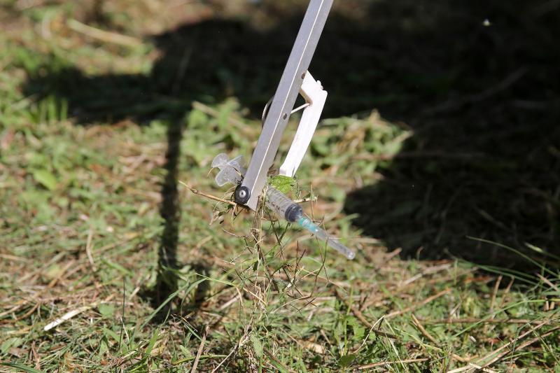 20.06.2013., Zadar – Akcija ciscenja narkomanskih sprica u parku na Brodarici pokraj Sfinge. Photo: Filip Brala/PIXSELL Autor Filip Brala/PIXSELL KLJUČNE RIJEČI ciscenje, sfinga, Brodarica, akcija mladih, narkomanija 20.06.2013., Zadar – Akcija ciscenja narkomanskih sprica u parku na Brodarici pokraj Sfinge. Photo: Filip Brala/PIXSELL Autor Filip Brala/PIXSELL KLJUČNE RIJEČI ciscenje, sfinga, Brodarica, akcija mladih, narkomanija