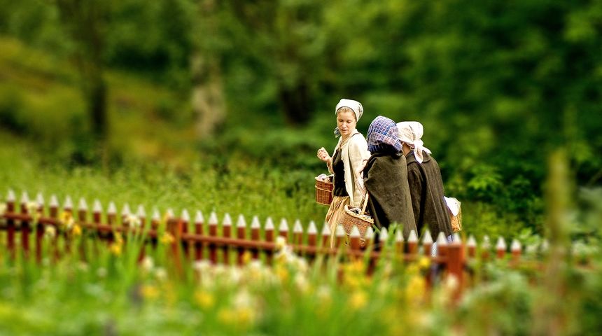 žena opg selo ilustracija žena opg selo ilustracija