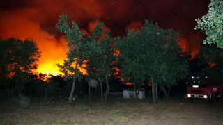 Vatrogasci gase pozar u Policima, Foto: Zdenko Knezevic