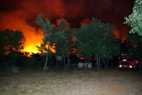 Vatrogasci gase pozar u Policima, Foto: Zdenko Knezevic
