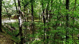 Pogled na impozantni Kremen