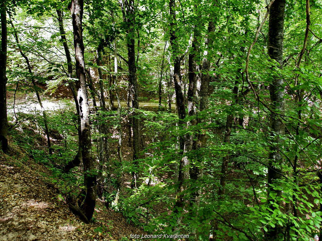 Pogled na impozantni Kremen