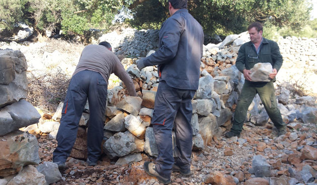 Radovi u Vrtovima Lunjskih Maslina