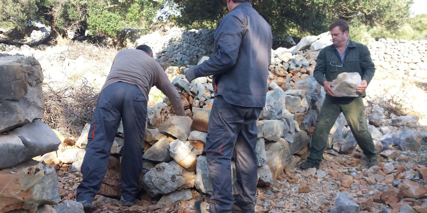 Radovi u Vrtovima Lunjskih Maslina Radovi u Vrtovima Lunjskih Maslina