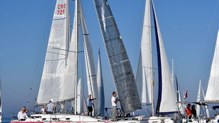 Sva lica “Zadarske koke” Sva lica “Zadarske koke”