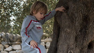 Berba maslina u Lunu, foto: V. Pesic