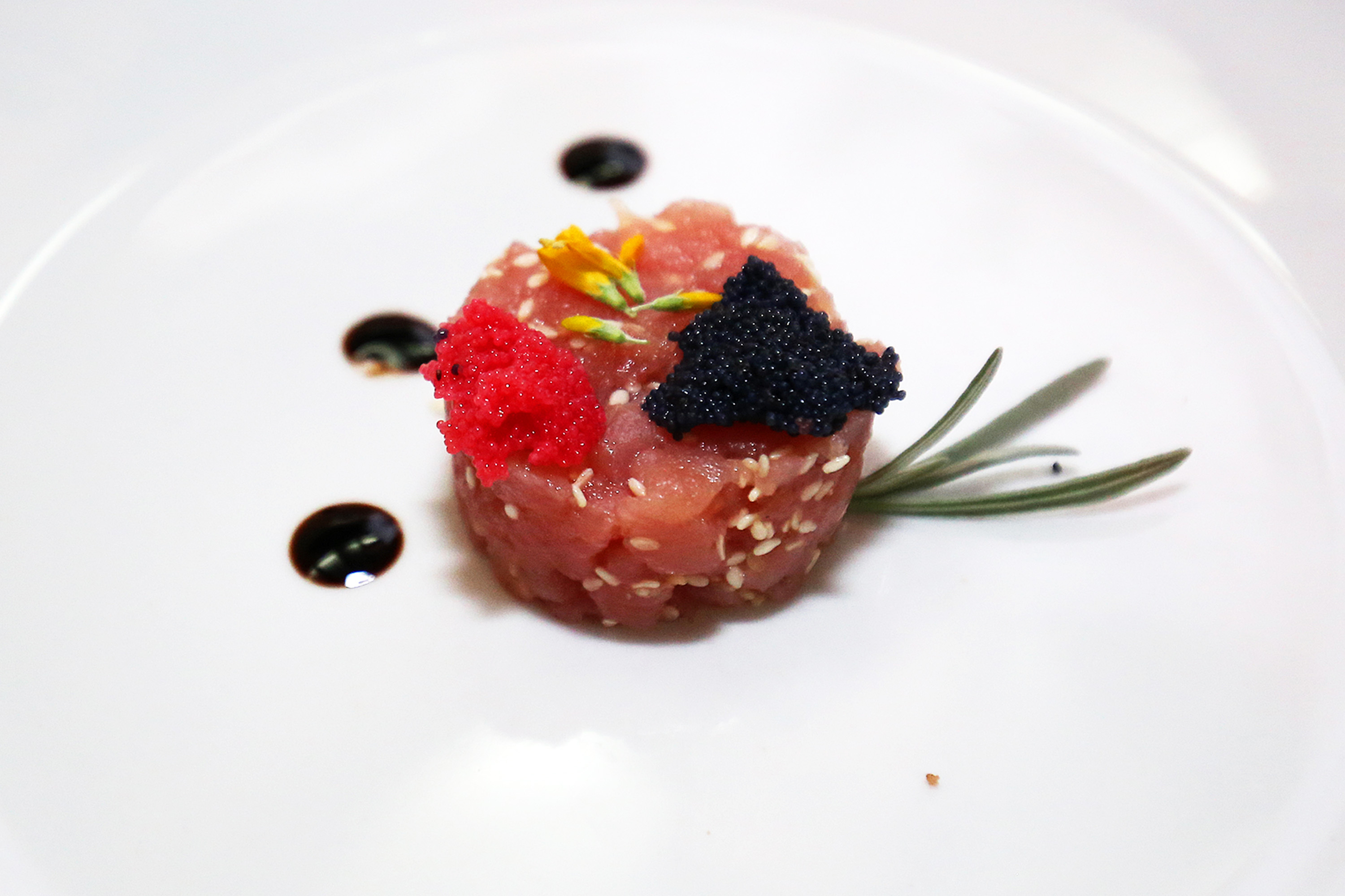 Posjet Solani Nin i Kraljevskim vinogradima u Petrčanima