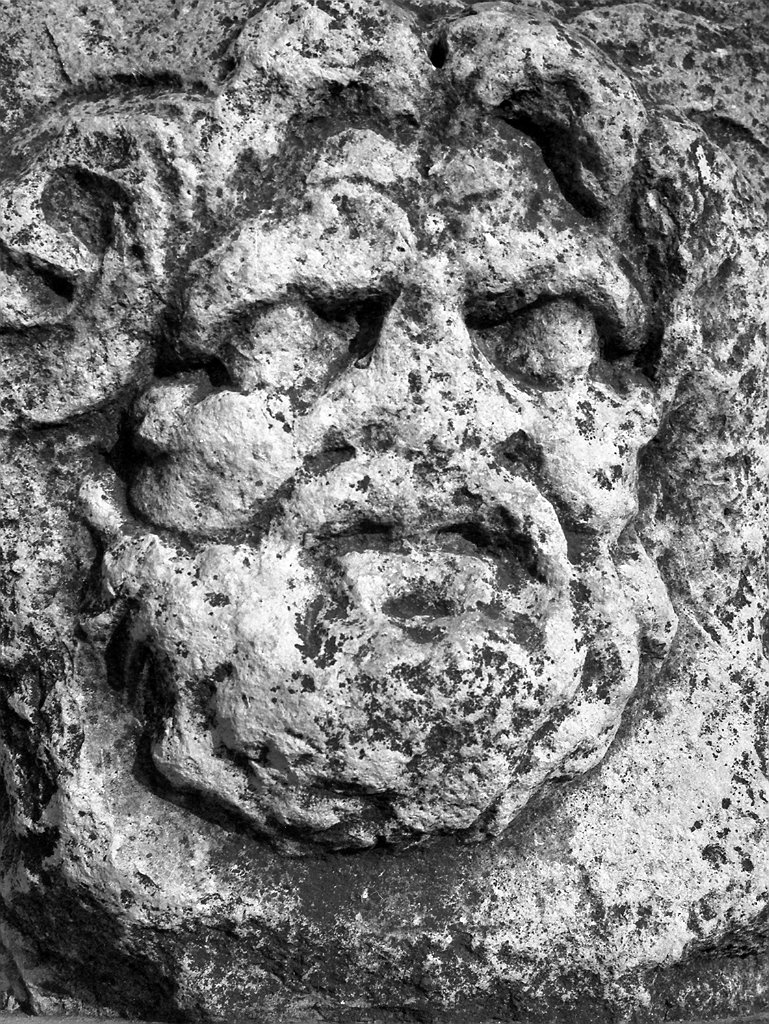 Image 1192077 (auto)