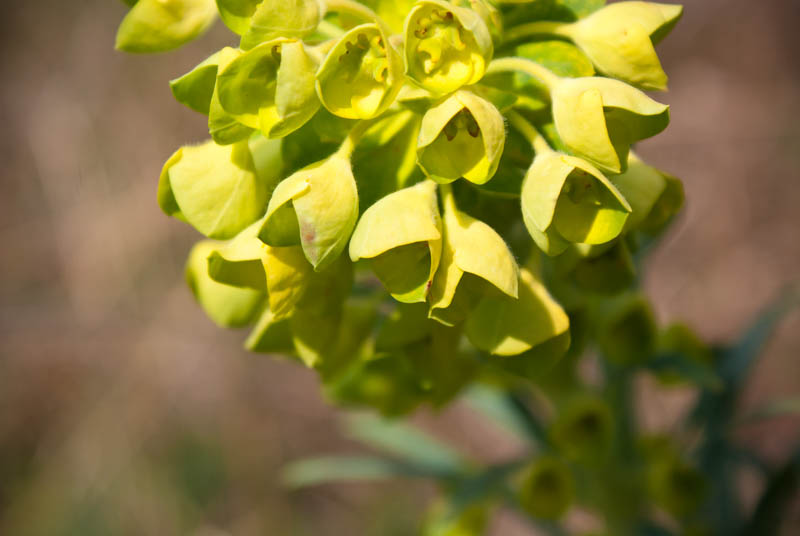 Šetnjica poučnom stazom sv. Leopolda Mandića, Mosor, foto: Darko Belančić