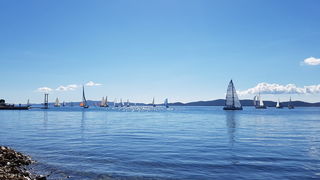 Zadarska Koka 2016. 22. listopada 2016. Foto: Mladen Malik Zadarska Koka 2016. 22. listopada 2016. Foto: Mladen Malik