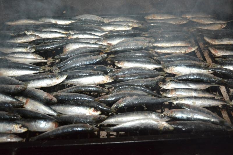 04.08.2015., Privlaka – Dalmatinska festa na domaci nacin prikazana je i u Privlaci pokraj Zadra na Privlackoj noci kada su mnogobrojni turisti i posjetitelji mogli gustati u morskim delicijama, poput dagnji, srdela, fritula i slicnog. Photo: Damir Spehar