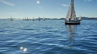 Regata Zadarska Koka 2015. Regata Zadarska Koka 2015.