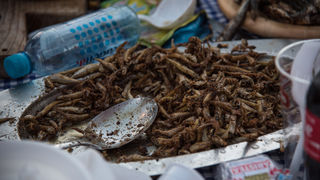 Dvadeset tisuća posjetitelja na Biogradskoj noći, foto: Vinko Pešić Dvadeset tisuća posjetitelja na Biogradskoj noći, foto: Vinko Pešić