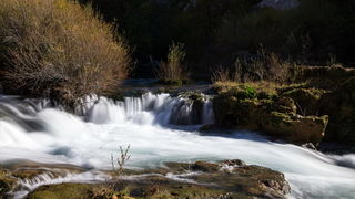 OLYMPUS DIGITAL CAMERA OLYMPUS DIGITAL CAMERA