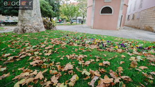Đir po gradu, ponedjeljak 23. listopada 2017. Boje jeseni, palo lišće