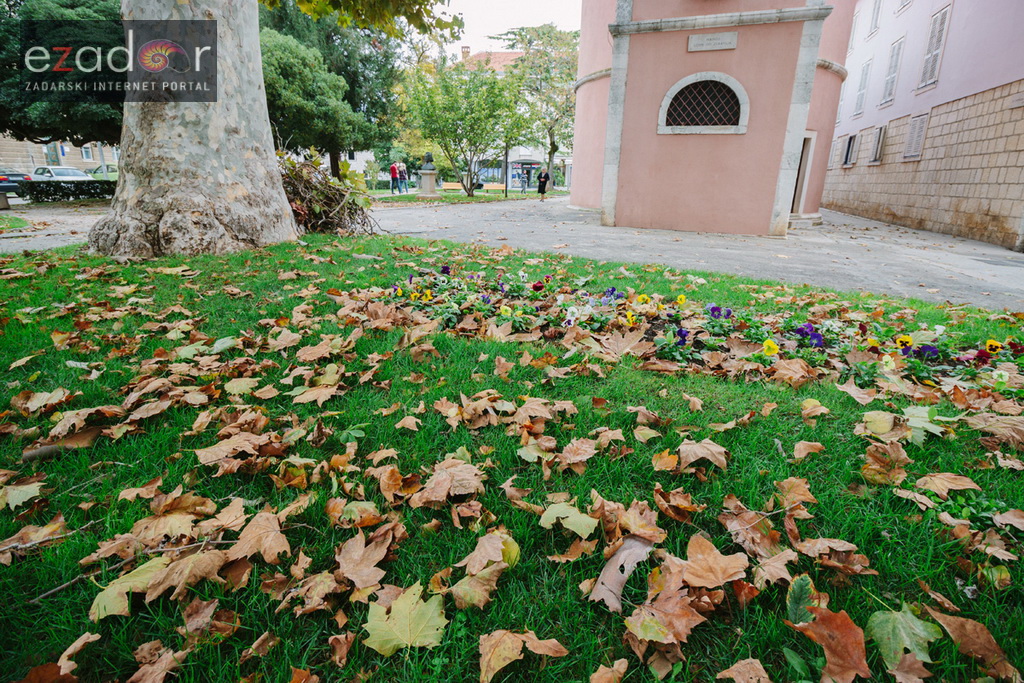 Đir po gradu, ponedjeljak 23. listopada 2017. Boje jeseni, palo lišće