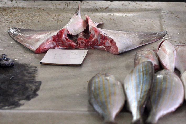 Image 1200393 (auto)