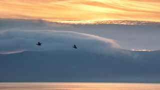 Čarobno jutro na Vranskom jezeru Čarobno jutro na Vranskom jezeru