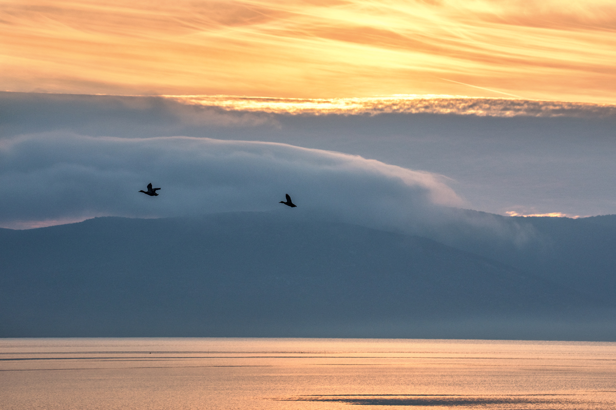 Čarobno jutro na Vranskom jezeru Čarobno jutro na Vranskom jezeru