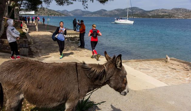 1. Dugi Otok Trail