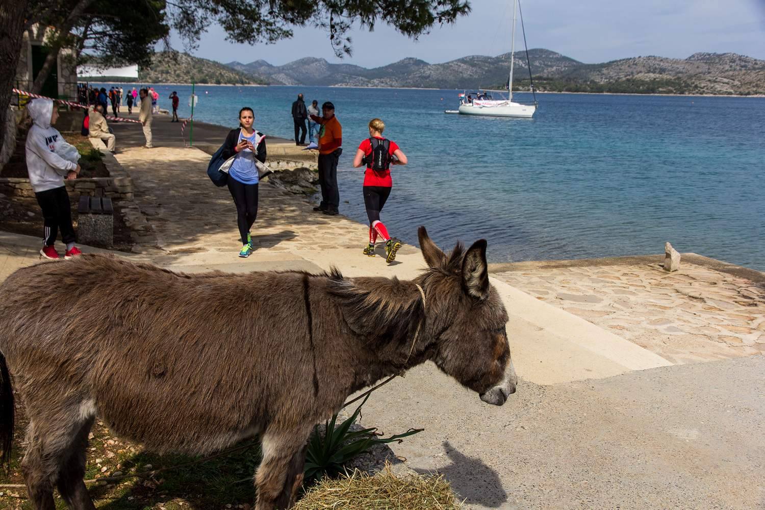 1. Dugi Otok Trail 1. Dugi Otok Trail