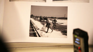 Posjet Solani Nin i Kraljevskim vinogradima u Petrčanima