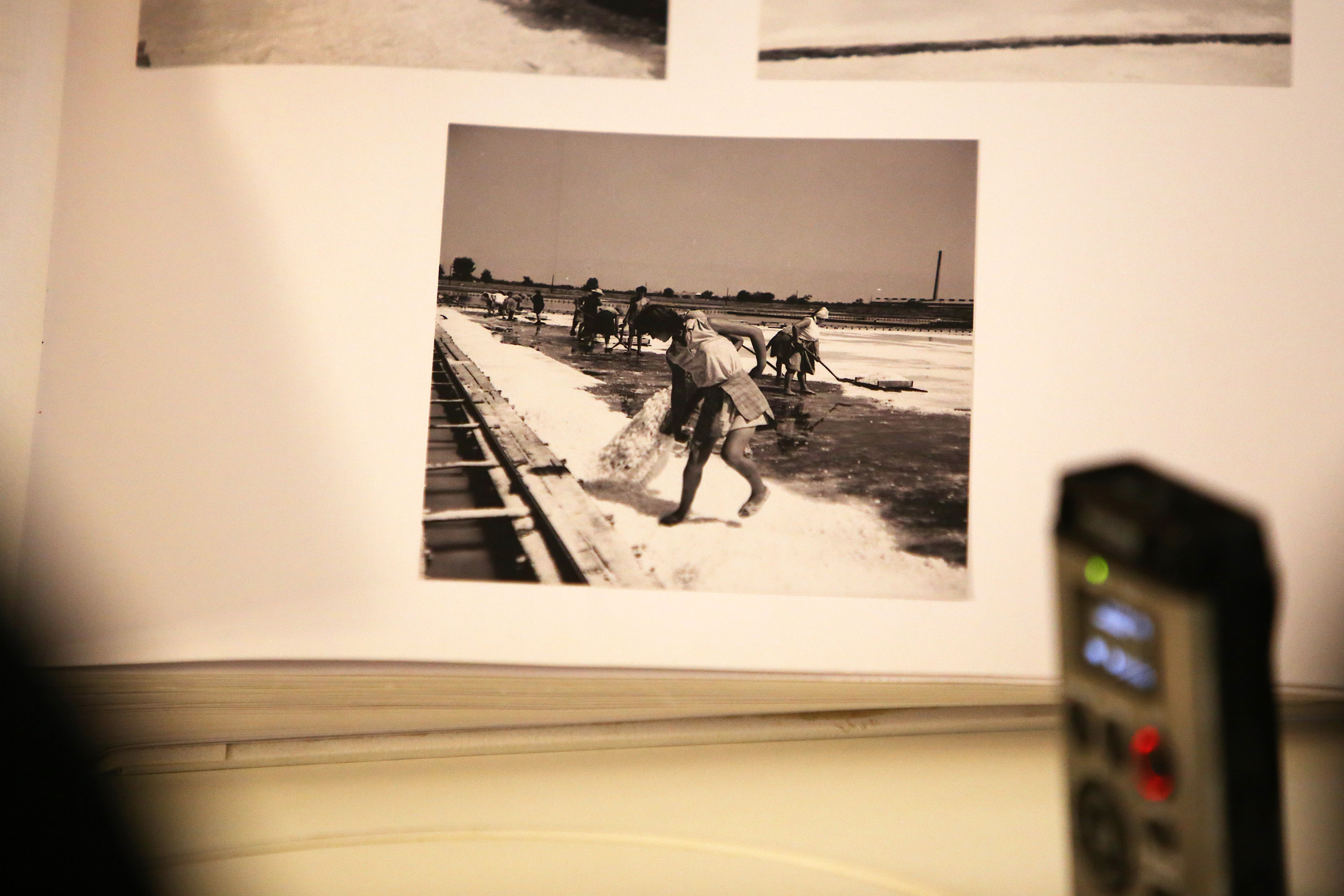 Posjet Solani Nin i Kraljevskim vinogradima u Petrčanima