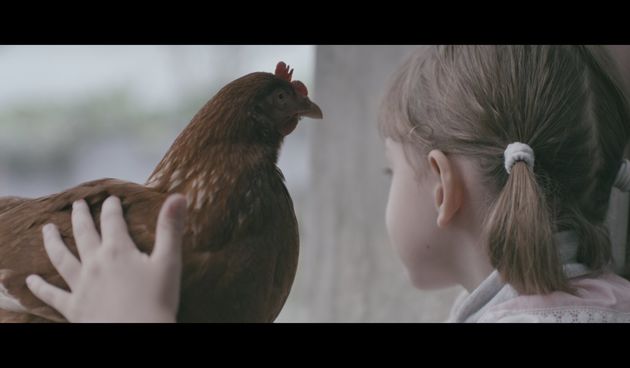 kokoska, foto:vimeo.com