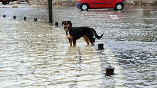 Plima u Starom Gradu na Hvaru 9. studenog 2010, Foto: Petar Botteri