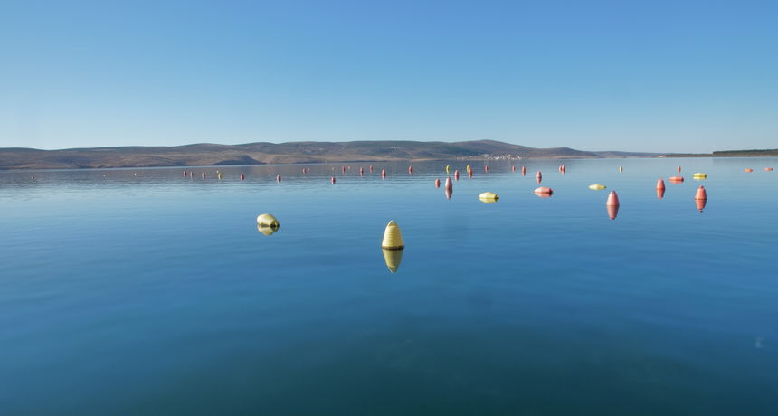 Tehnologijom iz Novog Zelanda do boljeg uzgoja dagnji u Zadarskoj županiji