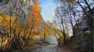 Jesen u kanjonu Velike Paklenice