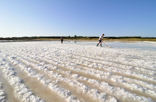 Nin: Prvi rođendan Muzeja soli