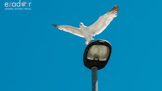 Đir po gradu, ponedjeljak 24. lipnja 2019. Đir po gradu, ponedjeljak 24. lipnja 2019.