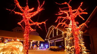 Cazma, 161209.
Grabovnica pokraj Cazme – Bozicna prica obitelji Salaj.
Zlatko Salaj ukrasio je i ove godine cijelo imanje s oko 1 milijun lampica. 
Za posjetitelje ce imanje biti otvoreno od subote 19.12. – 06. sijecnja od 17 h -21h.
Foto: Goran Mehkek /